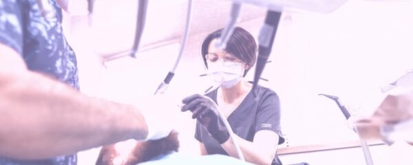 dentiste